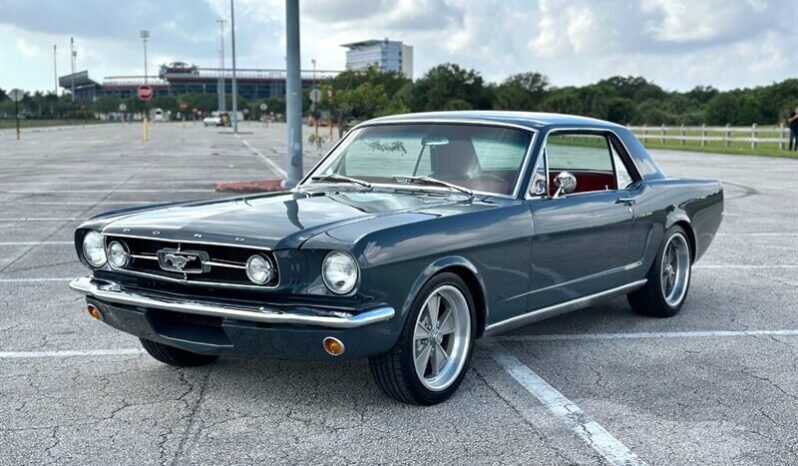 
								1965 FORD MUSTANG MUSTANG full									