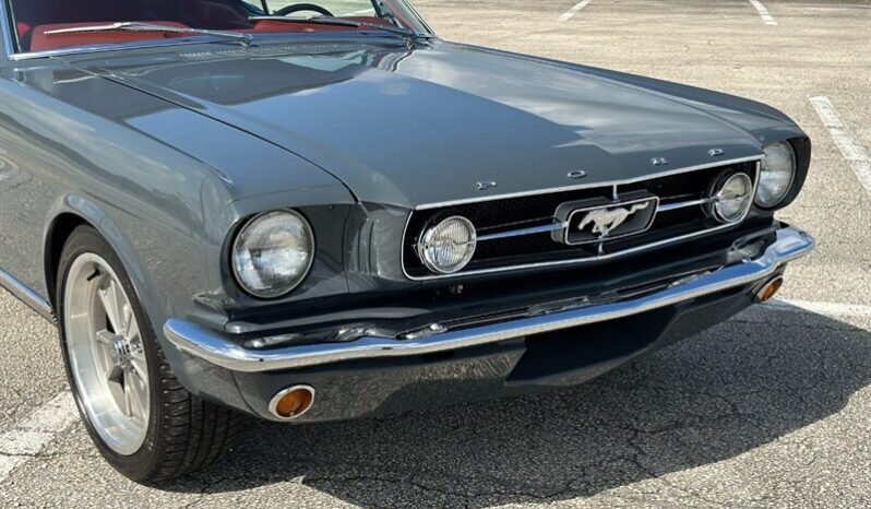 
								1965 FORD MUSTANG MUSTANG full									