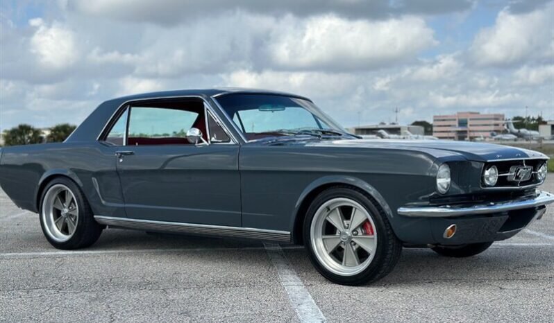 
								1965 FORD MUSTANG MUSTANG full									