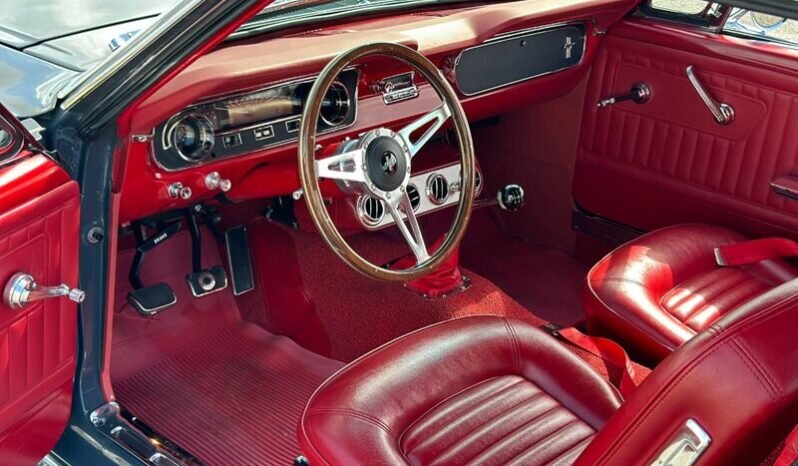 
								1965 FORD MUSTANG MUSTANG full									