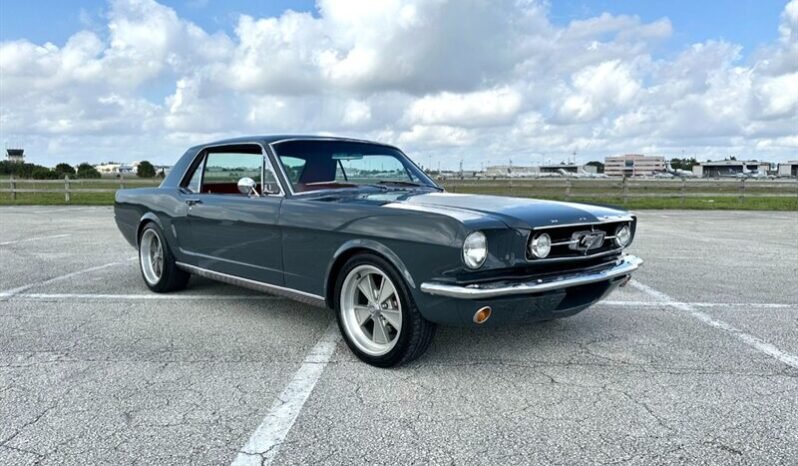 
								1965 FORD MUSTANG MUSTANG full									