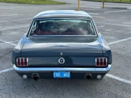 
										1965 FORD MUSTANG MUSTANG full									