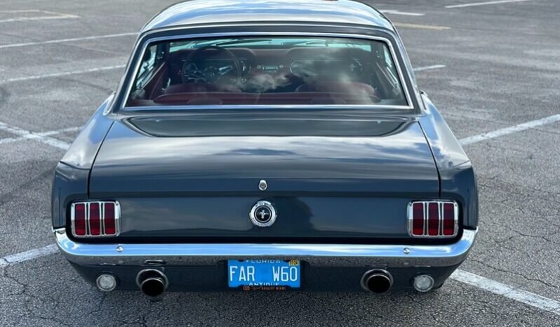 
								1965 FORD MUSTANG MUSTANG full									