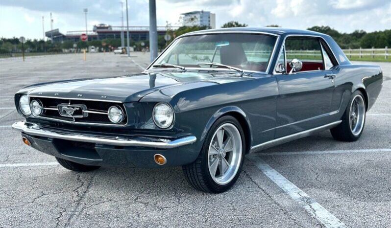 
								1965 FORD MUSTANG MUSTANG full									