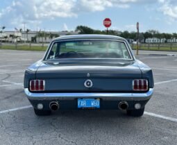 
										1965 FORD MUSTANG MUSTANG full									